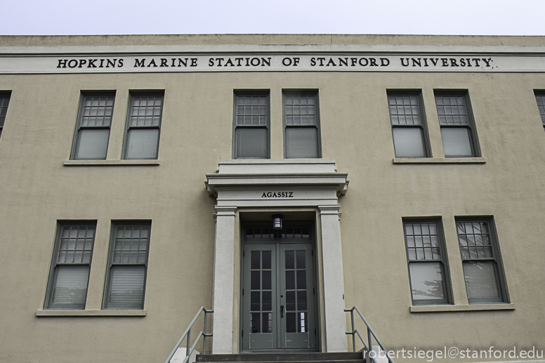 hopkins marine station